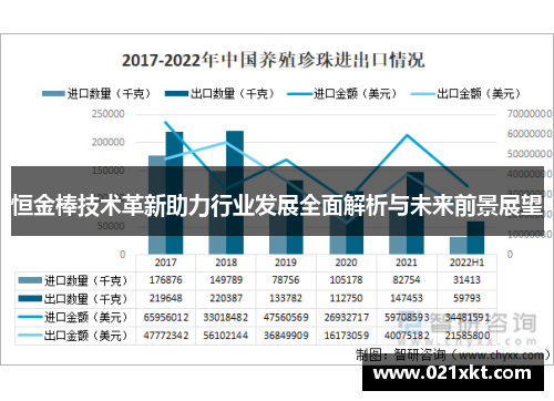 恒金棒技术革新助力行业发展全面解析与未来前景展望