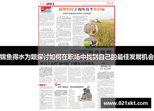 锦鱼得水为题探讨如何在职场中找到自己的最佳发展机会